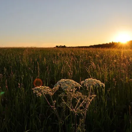 Hotel Adler Fohrenbuehl