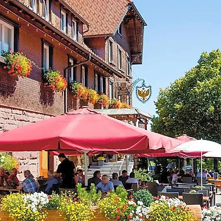 Adler Fohrenbuehl Szálloda 3*