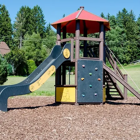 Hotel Adler Fohrenbuehl 3*