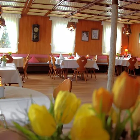 Hotel Adler Fohrenbuehl 3*