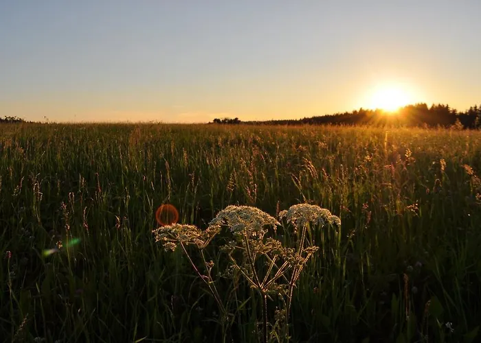 Szálloda Adler Fohrenbuehl