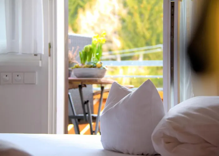 Adler Fohrenbuehl Szálloda 3*